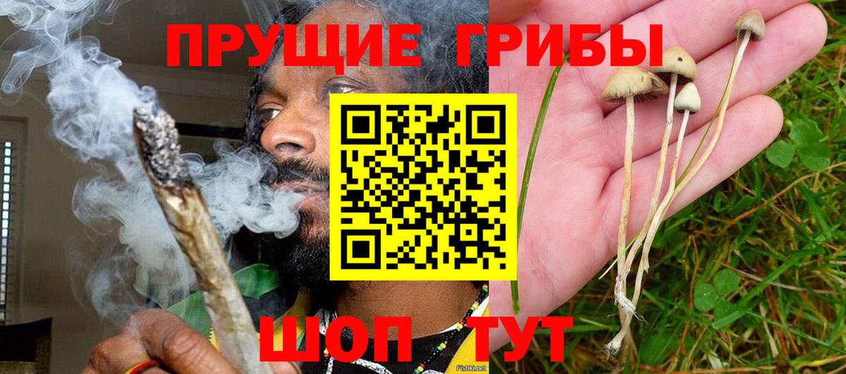 Кимовск  Галлюциногенные грибы ЛСД  Вход с VPN 