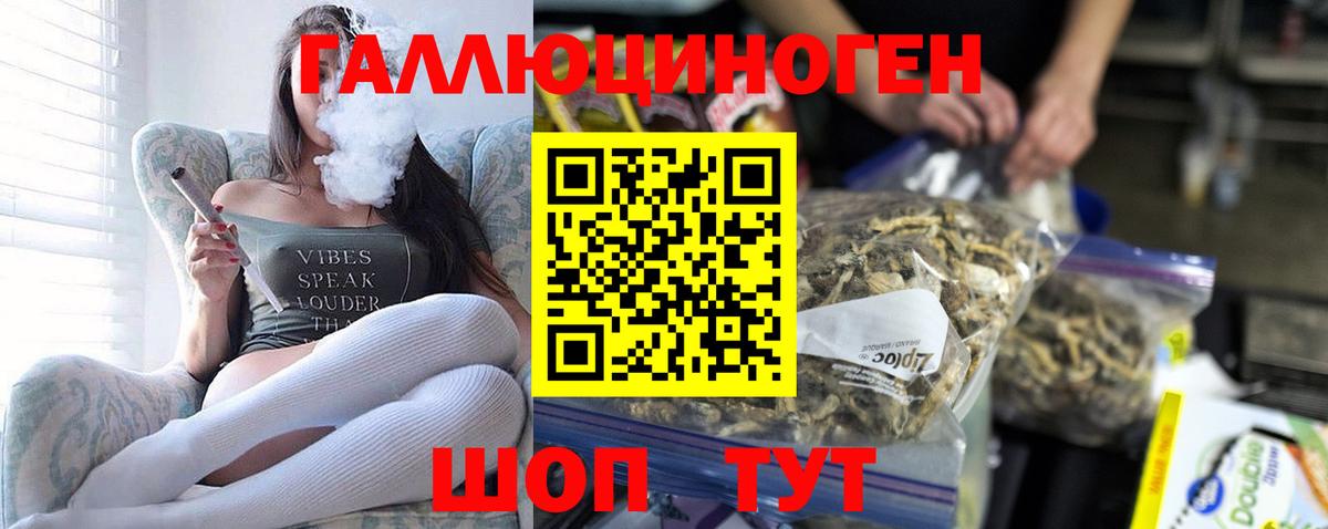 Псилоцибиновые грибы Magic Shrooms Кимовск